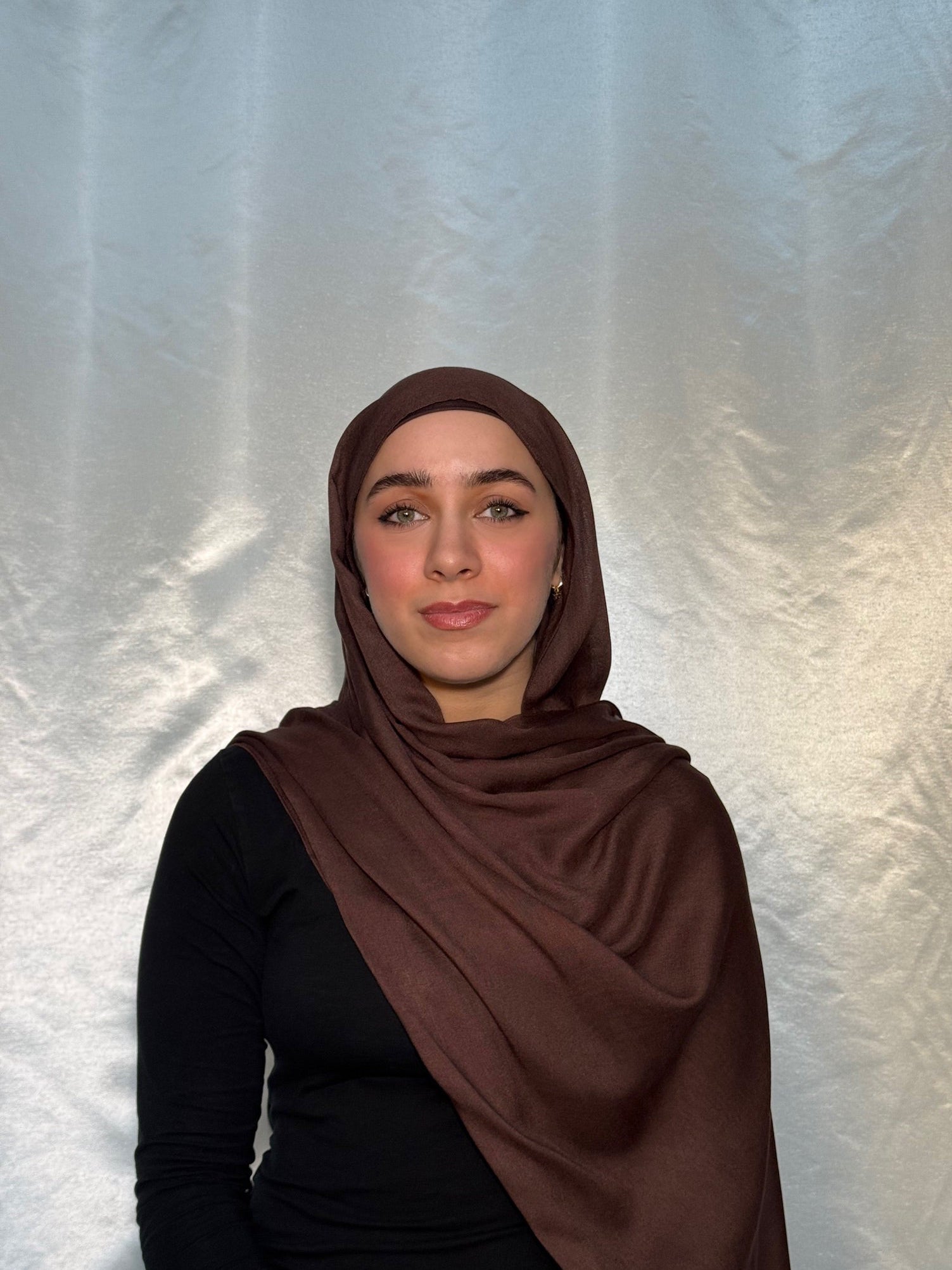 Desert Taupe Plain Modal